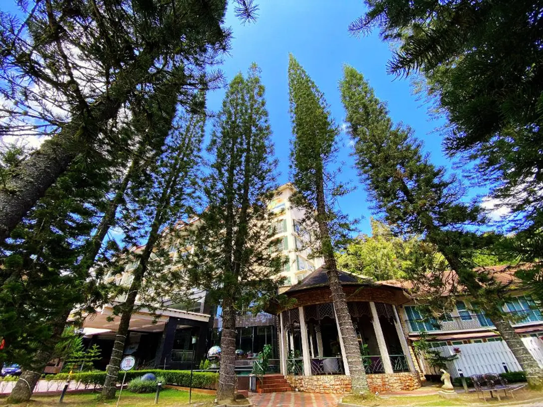 Relax and recharge at the lushy green environment at the Century Pines Resort