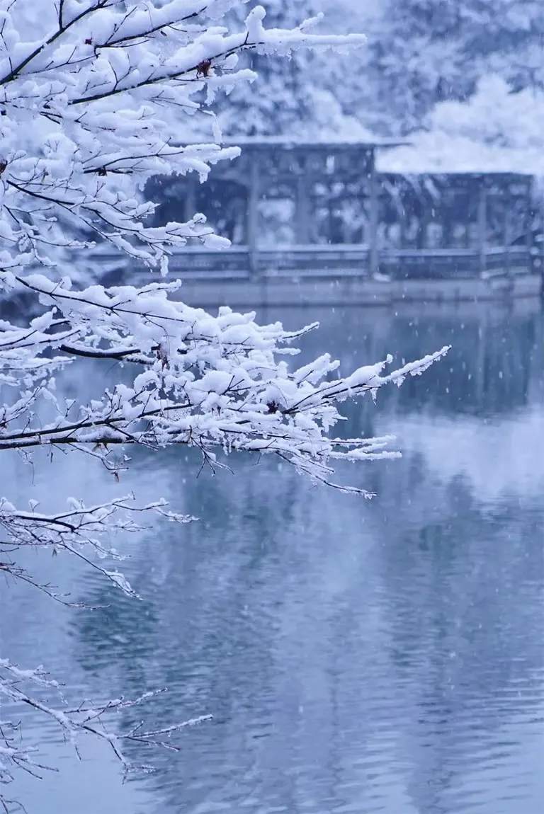 杭州之冬