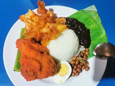 Nasi Lemak, Medan Selera Jaya 223