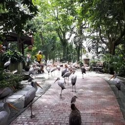 Kuala Lumpur Bird Park