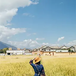 云南，恬静怡然的秘境，简直是世界级风景