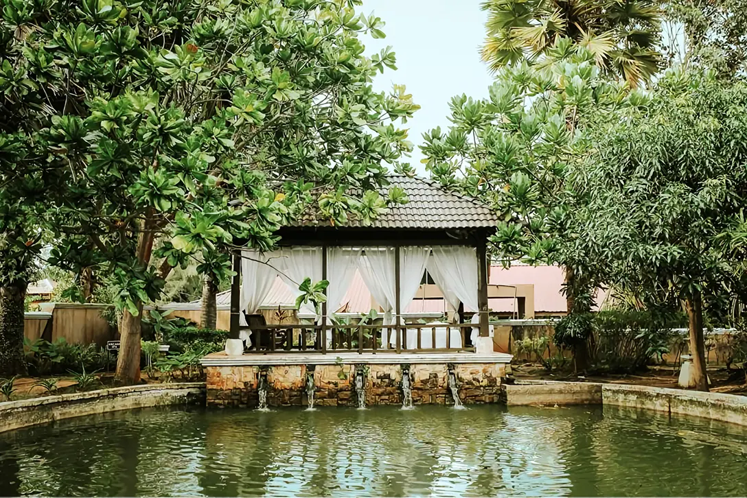 Relaxing amidst lushy green garden