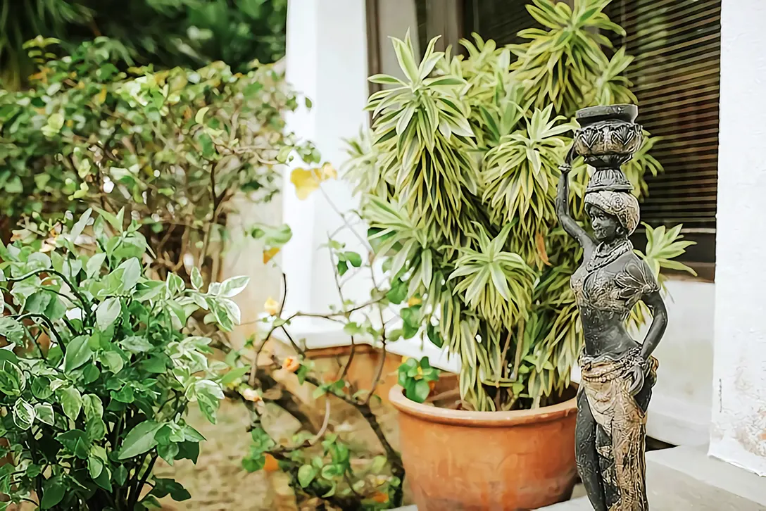 Relaxing amidst lushy green garden