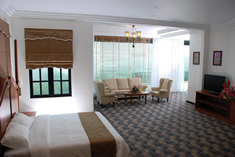 Cameron Ferns Pentsuite, Hotel De La Ferns