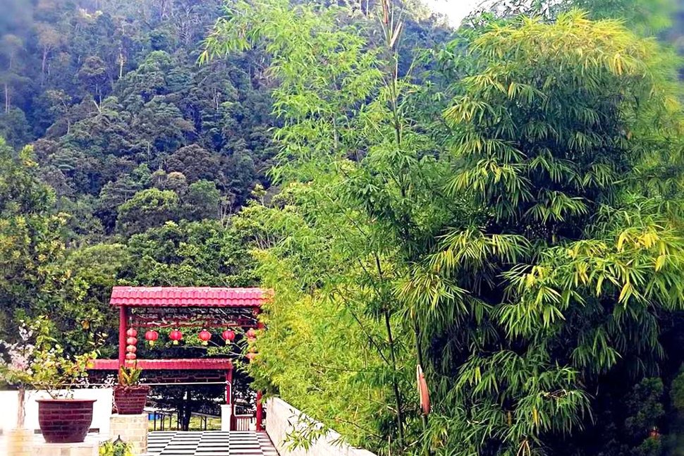 Refreshing air and green view everywhere