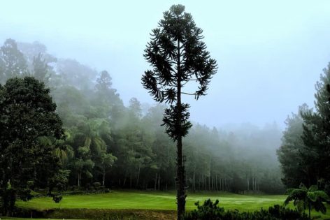 Be pampered with great mountain weather and refreshing cool wind