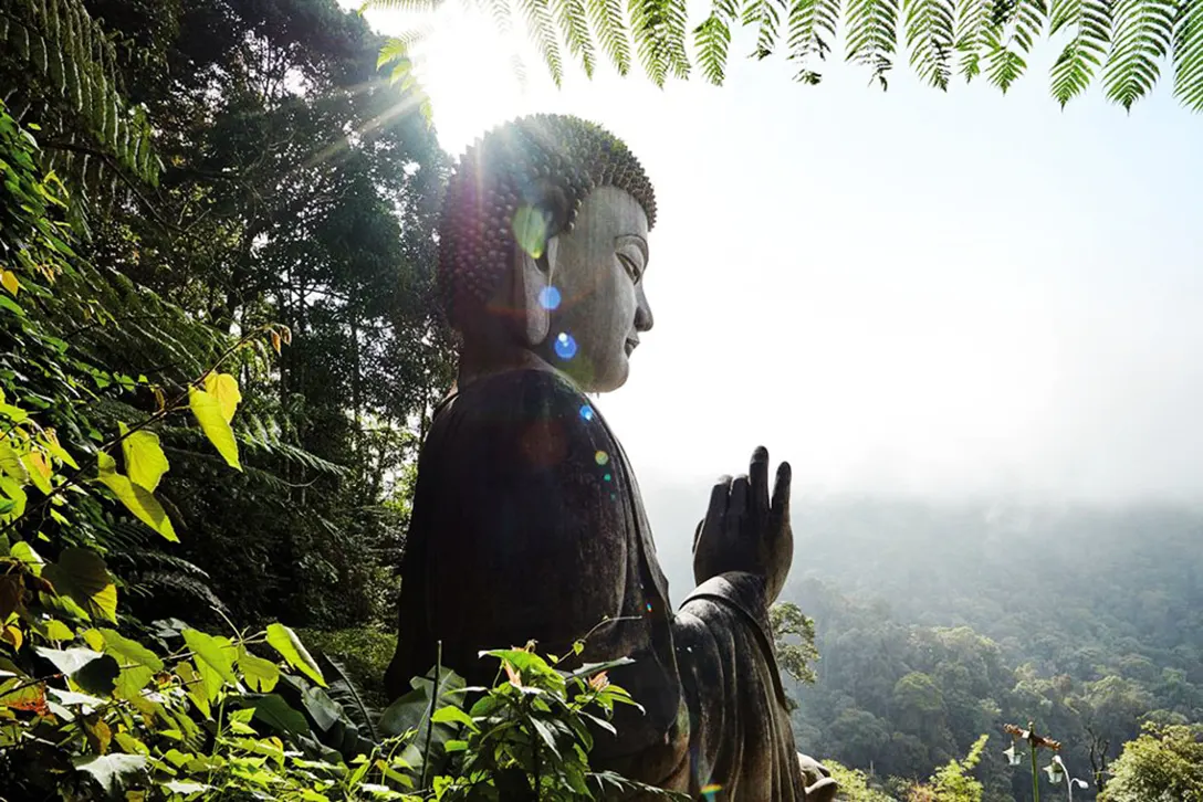 The statue of Buddha