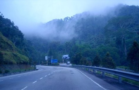 Windy and foggy road