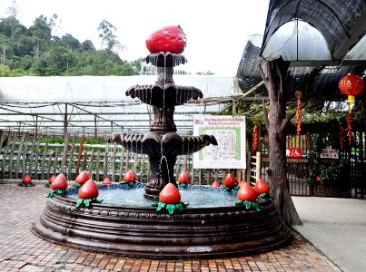 Water fountain