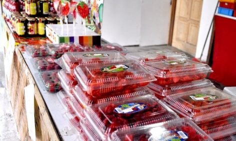 Strawberries & other fresh products