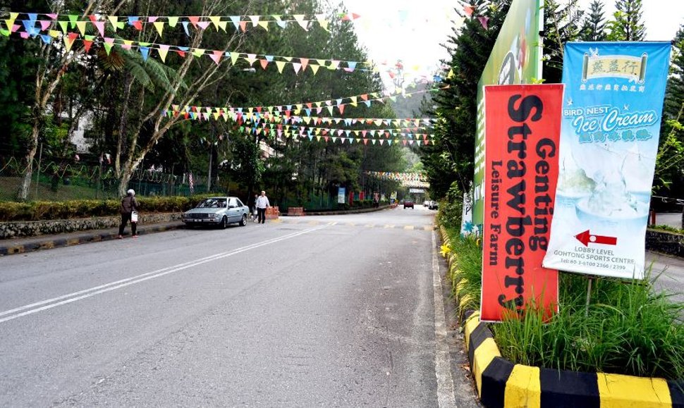 Road side banner leading you to the farm