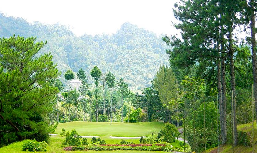 Spectacular green surroundings
