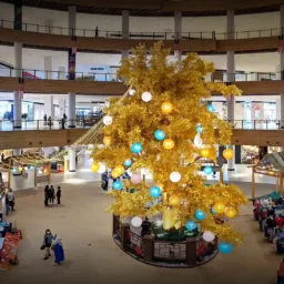 IOI Mall Damansara: A Mall That Grows With Its Neighbourhood, Hillside, Convention Centre, Discovery