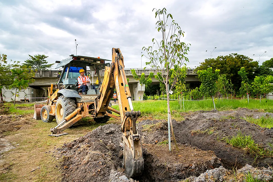 Ongoing tree relocation and trenching works at the Putrajaya Sentral MRT Station site.