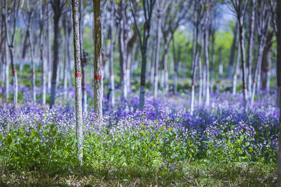 中国国内美景