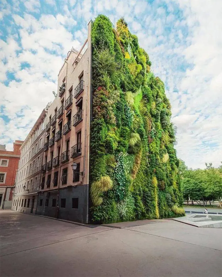 垂直花园西班牙马德里