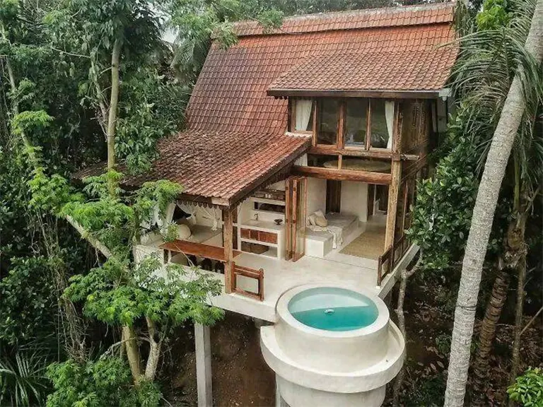 热带树屋