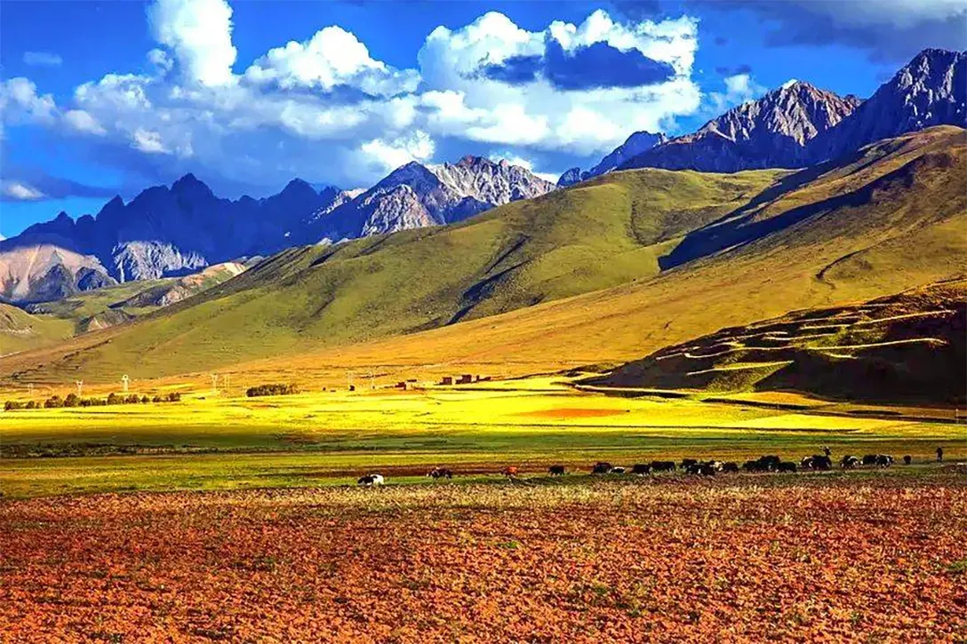川西，青藏高原