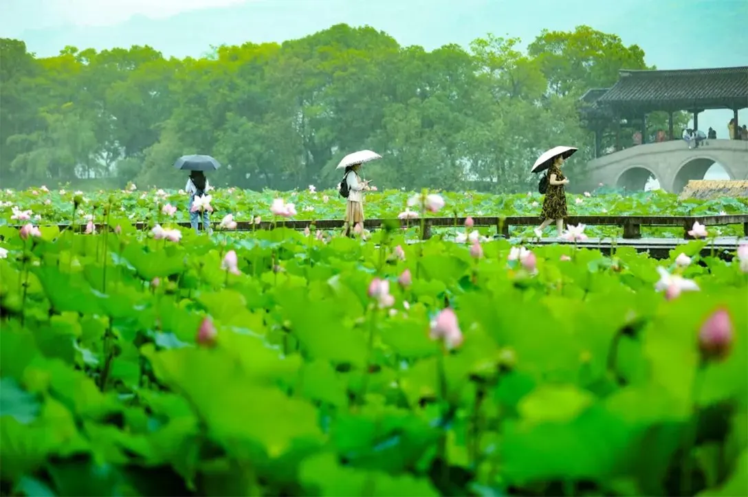 杭州之夏