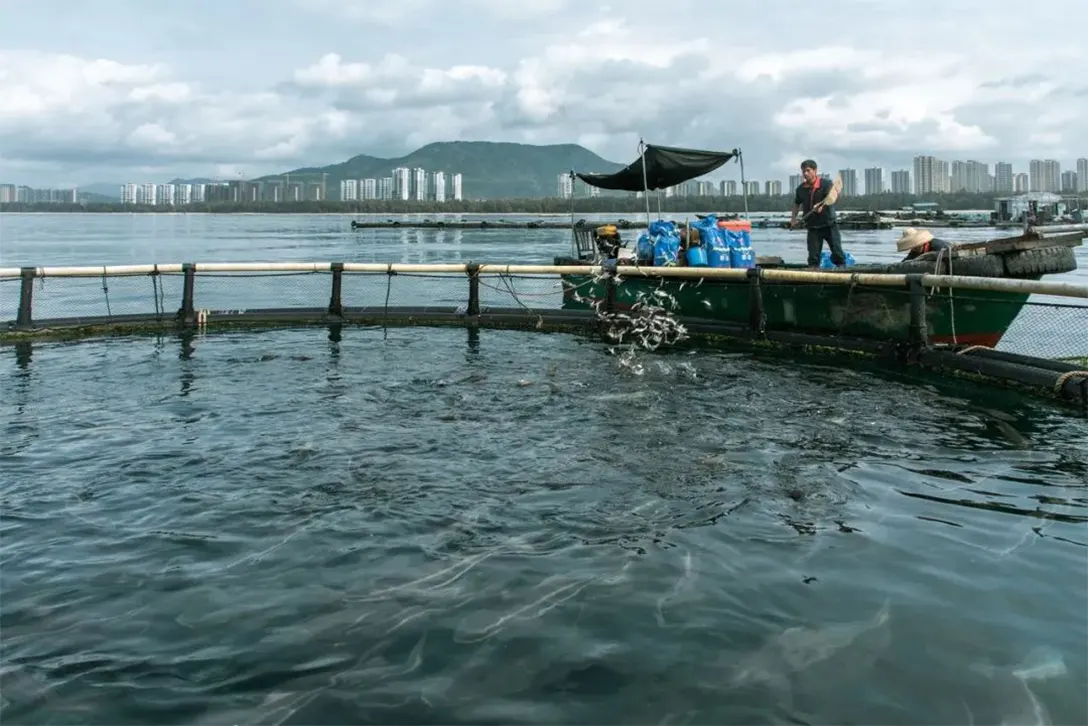 海上村庄