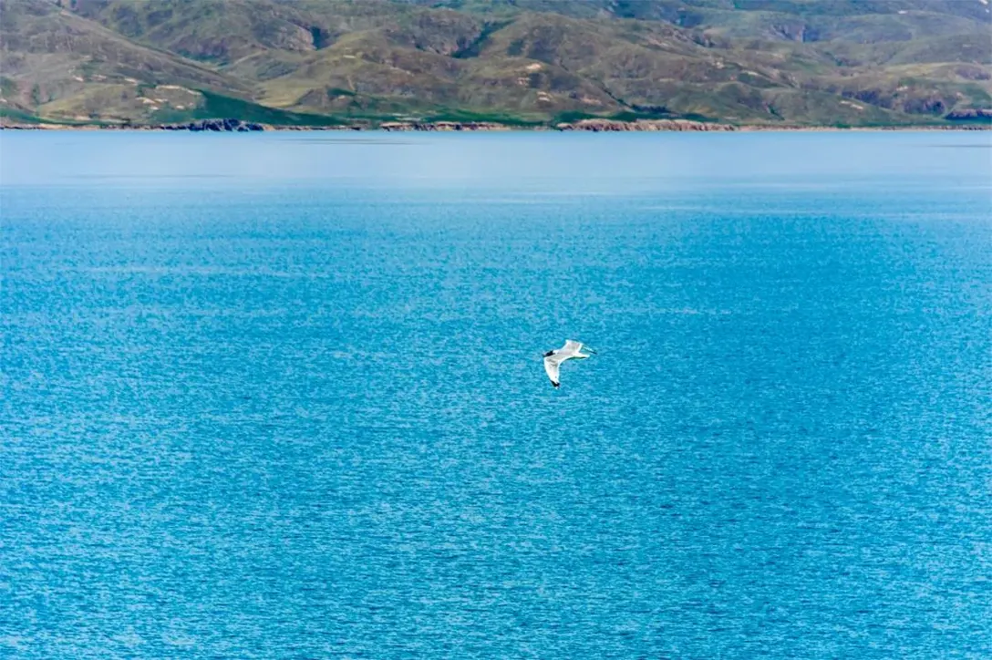 鄂陵湖