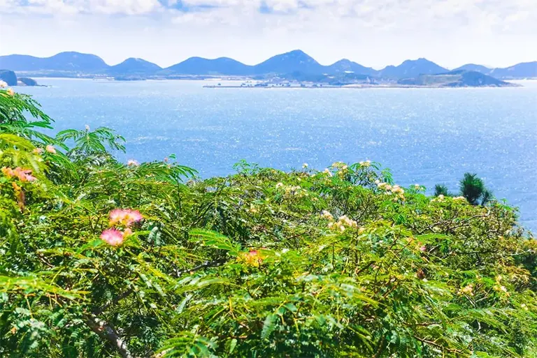 海外有仙山，山在虚无飘渺间