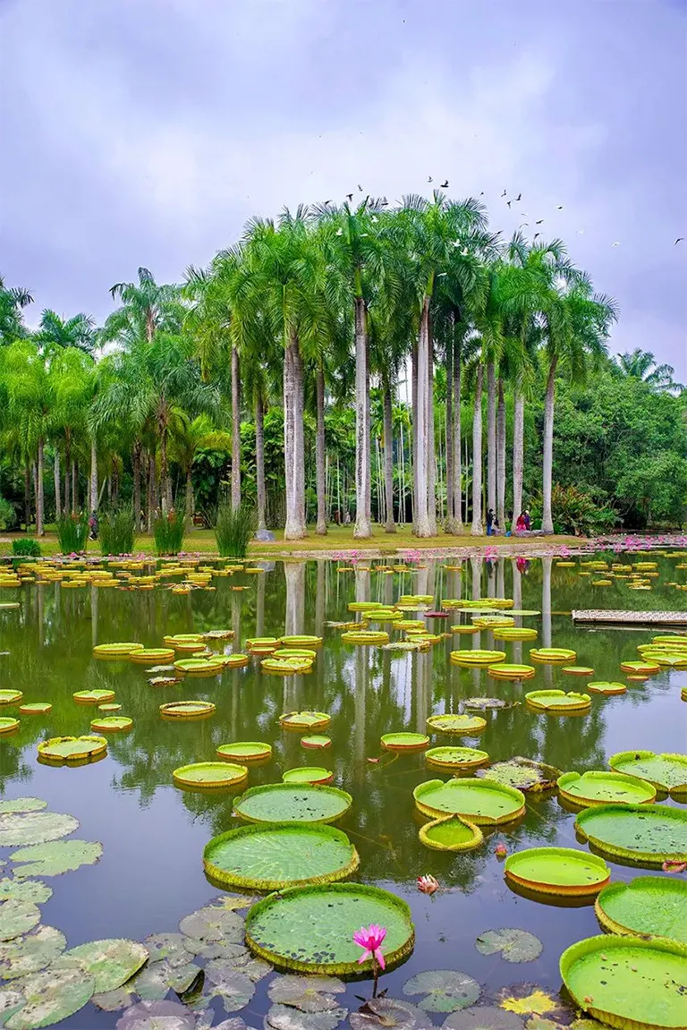 中科院植物园