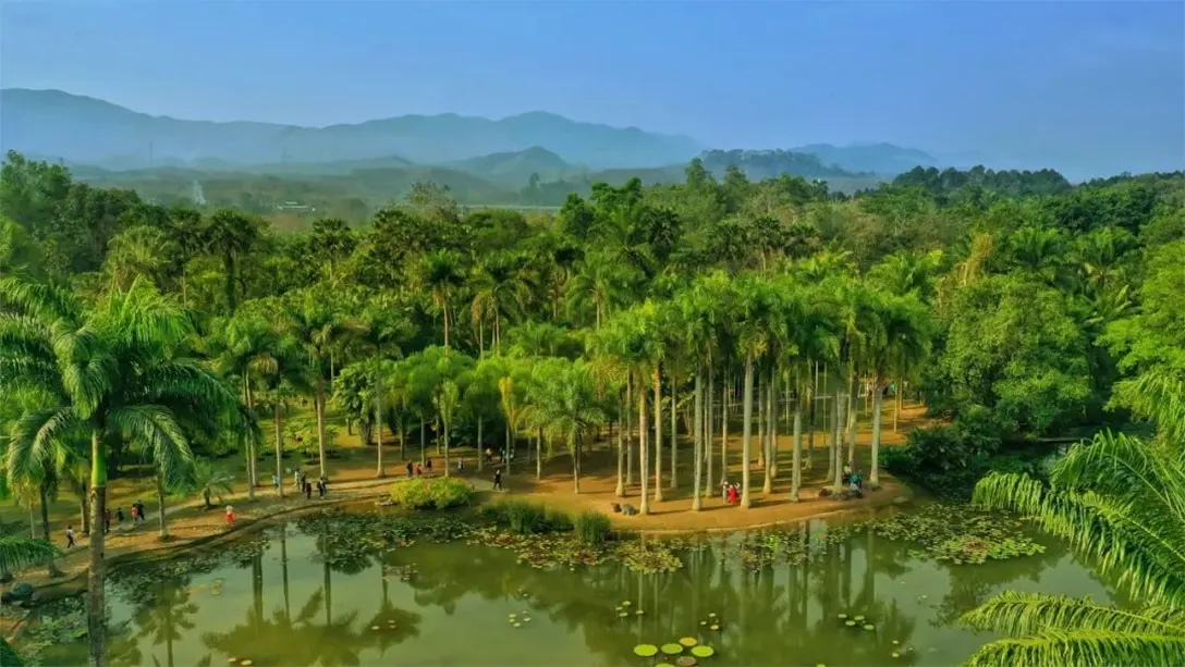 中科院植物园