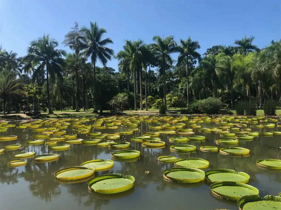 中科院植物园