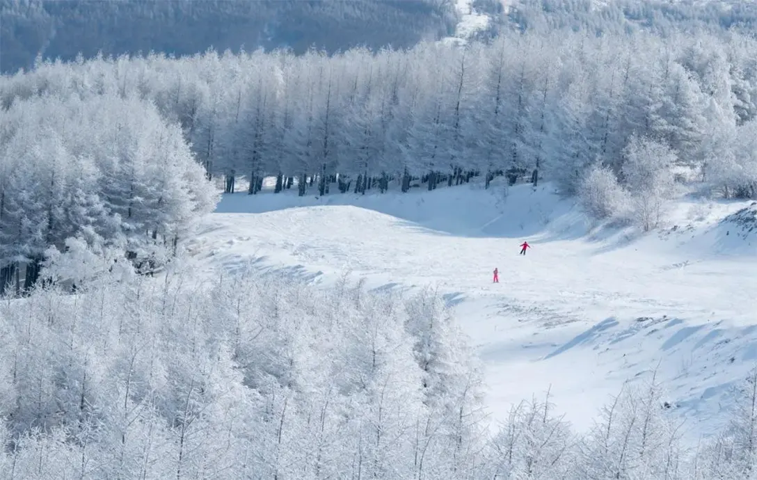 崇礼的大滑雪场