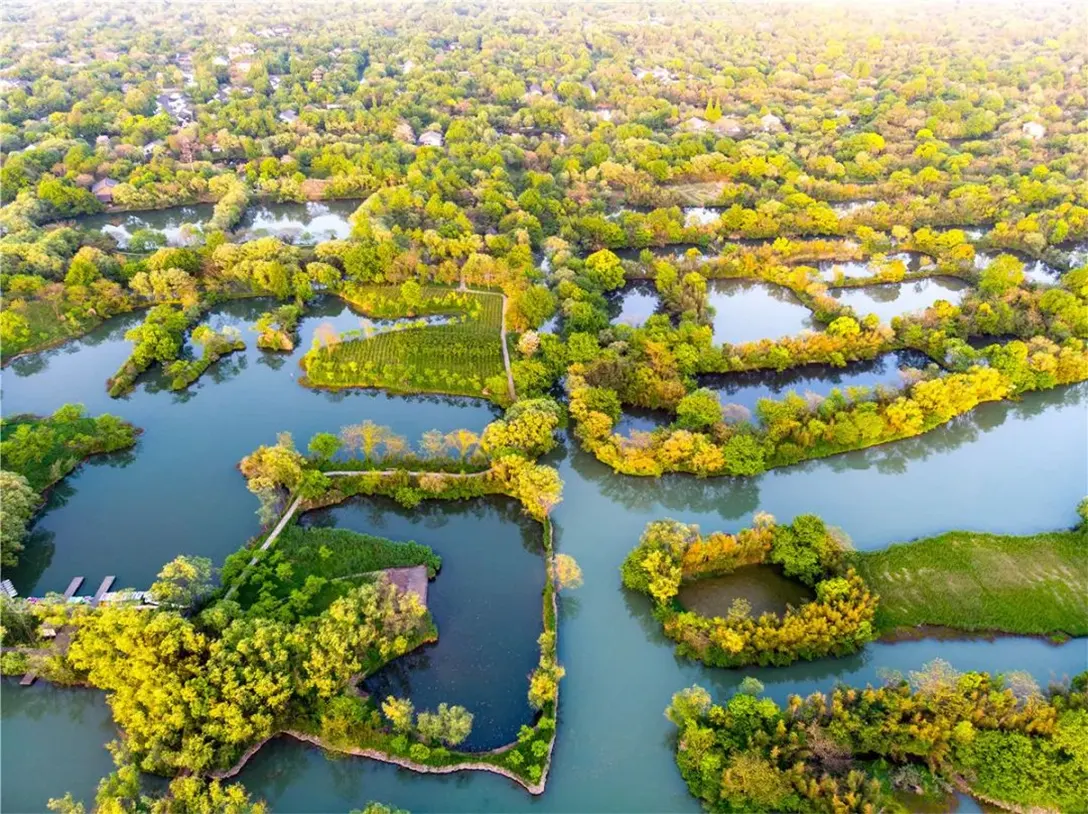 西溪湿地