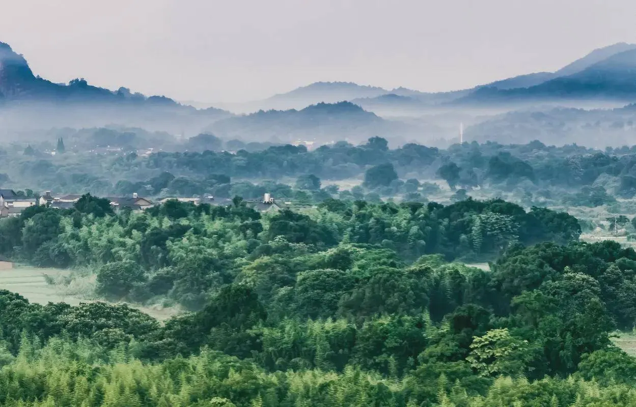 龙虎山